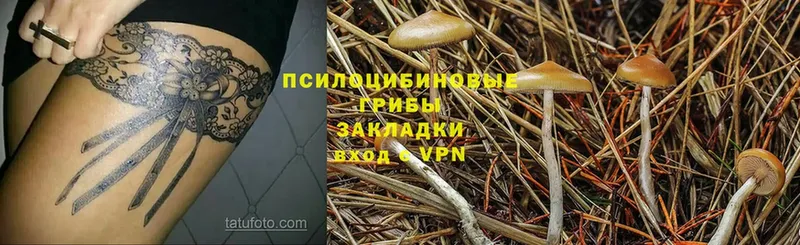 что такое   Джанкой  Галлюциногенные грибы Magic Shrooms 